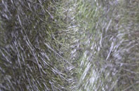 Hounsley Batch fibreglass roof work